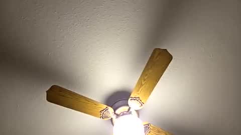 red24devils online show from 03/05/26, 01:56