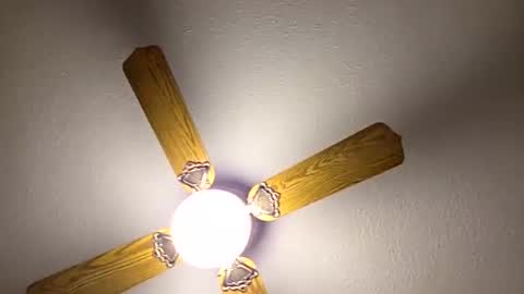 red24devils online show from 03/14/26, 12:39