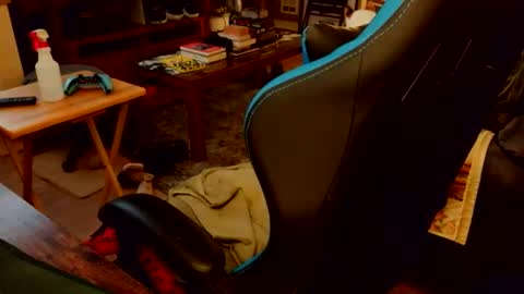 red_sea_bear online show from 04/19/26, 04:23