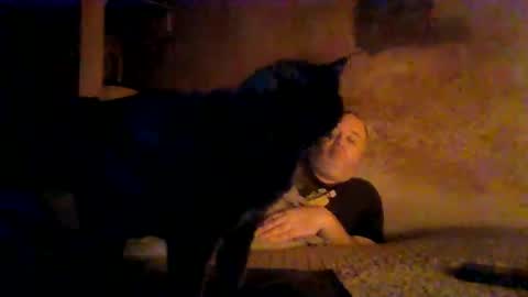 Snapshot of reddragon1195 chatting on 04/04/26, 04:55 reddragon1195 online show from 04/04/26, 04:55