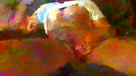 Snapshot of redtxchopper chatting on 11/18/25, 01:33 redtxchopper online show from 11/18/25, 01:33