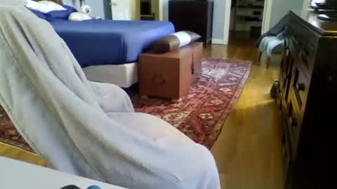 Snapshot of regularguynola chatting on 01/24/25, 06:14 RegularGuyNOLA online show from 01/24/25, 06:14