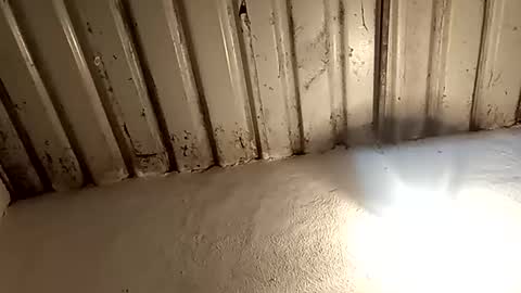 Snapshot of reinft chatting on 02/11/26, 02:16 reinft online show from 02/11/26, 02:16