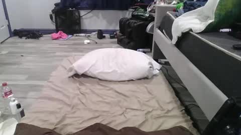 remshotdt online show from 02/24/25, 04:26