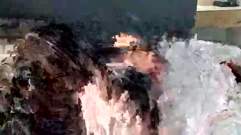 renaexx03 online show from 09/28/25, 02:28