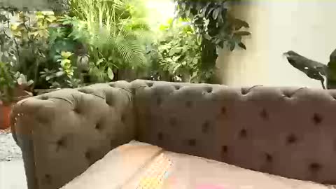 S T A C Y online show from 09/13/25, 01:22