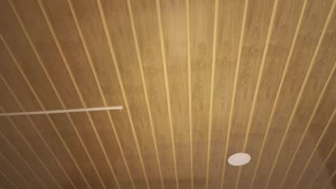 renaxi_smith online show from 01/17/26, 07:50