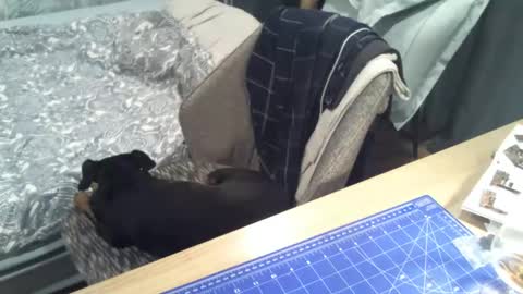 reunionussr online show from 11/16/25, 04:45