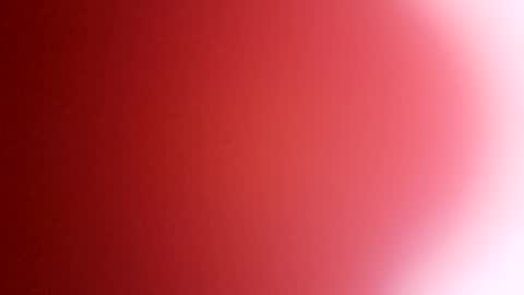 rhino69xx online show from 12/08/24, 06:54