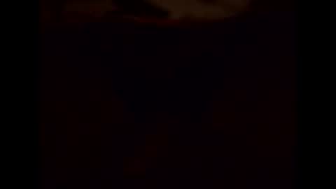 Shaved cock ready online show from 01/15/25, 08:16