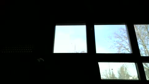 ricardohawtin online show from 02/22/26, 11:09