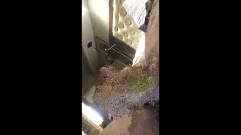 rich7665 online show from 04/26/26, 04:59