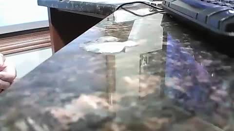 rigellan2021 online show from 10/01/25, 02:45