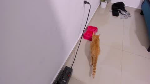 Rihanna hotx online show from 12/21/25, 03:35