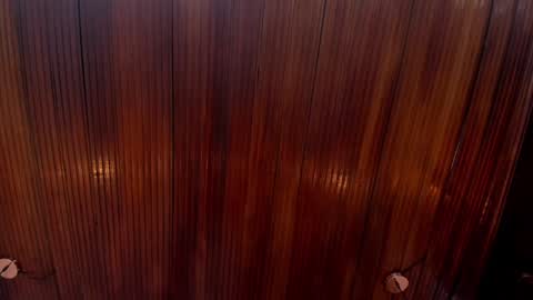 kamila online show from 12/24/24, 02:12