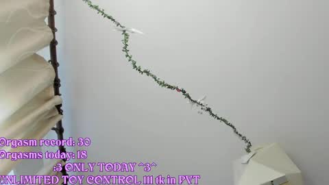 My name is Riley Like my broadcast pls 3 online show from 05/21/26, 03:24
