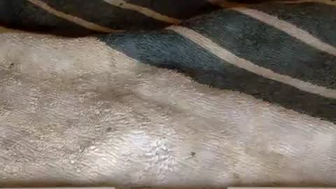 Snapshot of rimachaka chatting on 12/27/24, 08:18 rimachaka online show from 12/27/24, 08:18