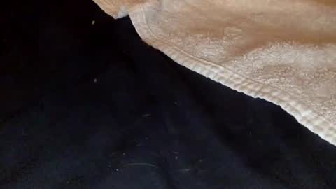 rimalova online show from 12/20/25, 01:45