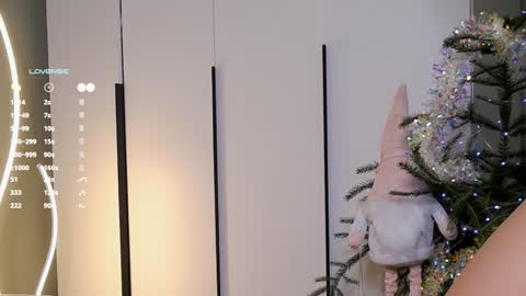 Rina online show from 12/25/24, 08:29