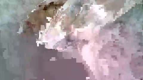 ritto44 online show from 04/09/26, 09:47