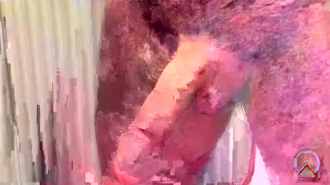ritto44 online show from 05/16/26, 12:07