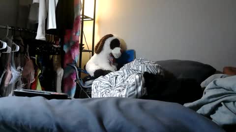 River Saint online show from 03/11/25, 11:04