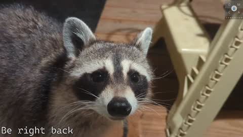 Ryan aka KeylimeRy online show from 02/05/25, 05:53