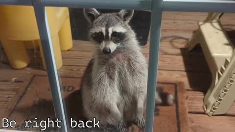 Ryan aka KeylimeRy online show from 12/04/25, 07:33