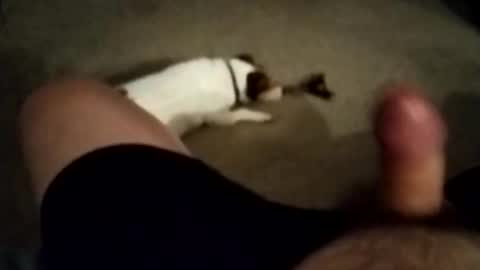 Snapshot of robbiebob6828 chatting on 11/27/25, 06:04 robbiebob6828 online show from 11/27/25, 06:04