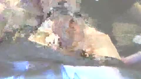 Snapshot of robertharley chatting on 12/02/25, 11:04 robertharley online show from 12/02/25, 11:04
