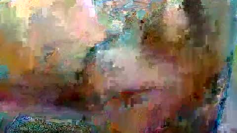 Robgrappler online show from 01/17/26, 02:38