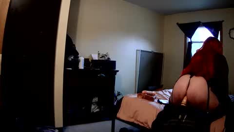 Snapshot of robinhead1981 chatting on 02/18/26, 05:53 RobinHEAD online show from 02/18/26, 05:53