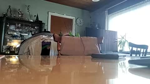 robke1966 online show from 01/22/25, 11:56