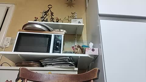 robke1966 online show from 12/23/25, 07:06