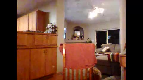 Snapshot of robo0000 chatting on 11/20/25, 01:06 robo0000 online show from 11/20/25, 01:06