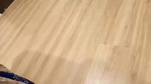 Snapshot of rockikoki chatting on 03/16/26, 04:33 rockikoki online show from 03/16/26, 04:33