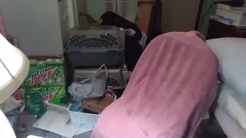 Snapshot of rocky082288 chatting on 11/25/25, 10:26 rocky082288 online show from 11/25/25, 10:26