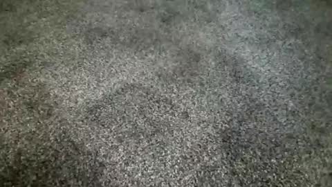 rokard121 online show from 03/04/25, 04:41