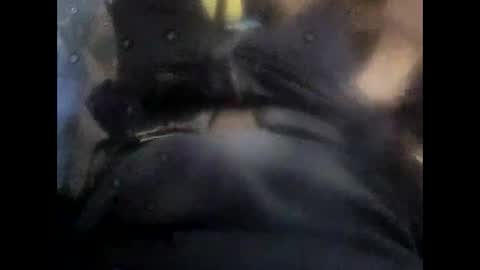 rollino83 online show from 11/06/25, 10:38