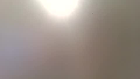 Trinked online show from 12/16/25, 10:31