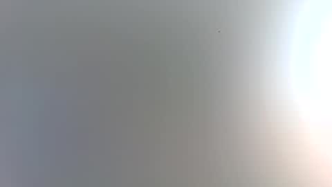 Trinked online show from 01/09/26, 02:36