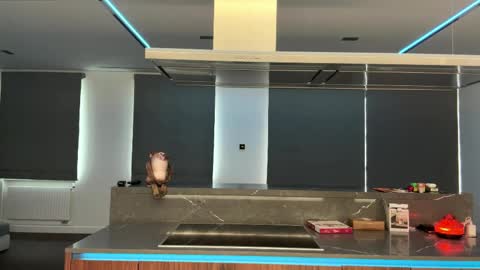 Ketlyn  is here now  help me get 50 thumbs up pls  online show from 04/02/26, 10:35