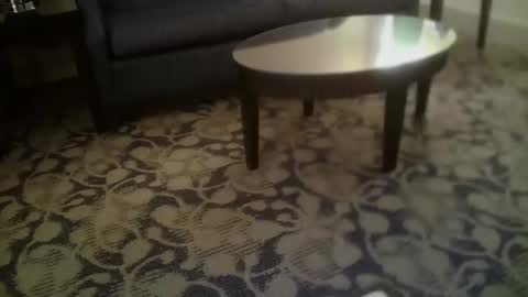 ronin098 online show from 04/23/26, 12:29