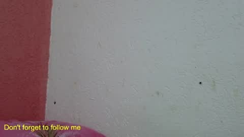 ronny online show from 01/31/25, 10:10