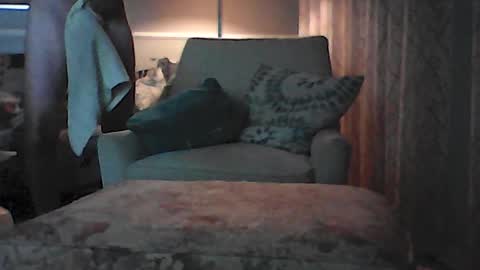 Snapshot of ronvlv chatting on 07/08/26, 01:43 ronvlv online show from 07/08/26, 01:43