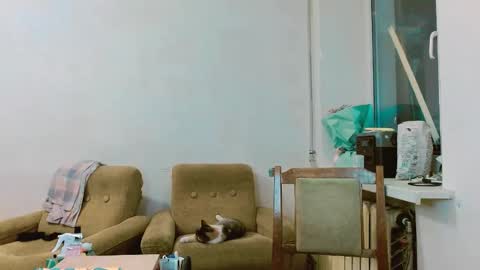 rosa843850 online show from 02/28/25, 01:47