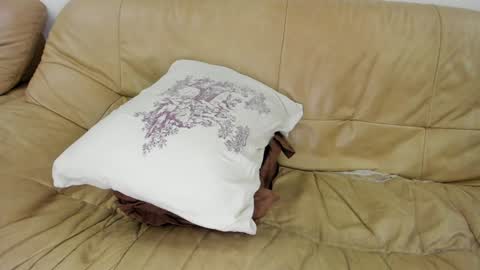 Rosa online show from 01/28/25, 12:26