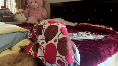 Snapshot of rose69904260 chatting on 07/30/26, 07:13 Rose and Jacks Pay Room online show from 07/30/26, 07:13