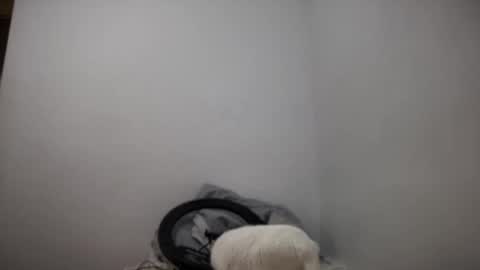 rosea_lune online show from 09/16/25, 04:41