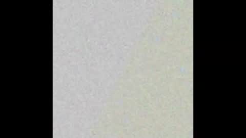 Rose  online show from 02/14/25, 01:23